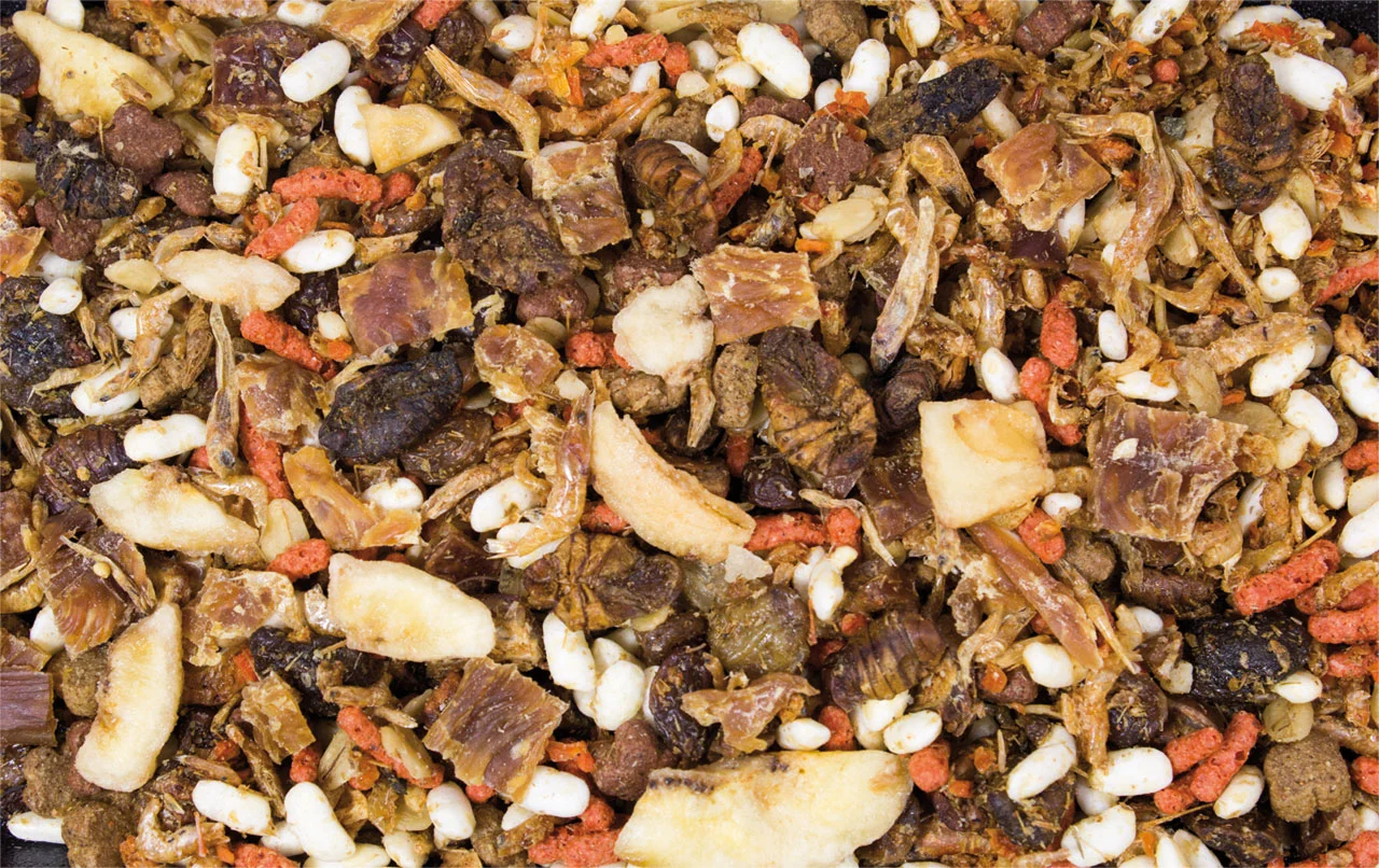JR farm pindsvine Smovs (børstesvin) 500 g